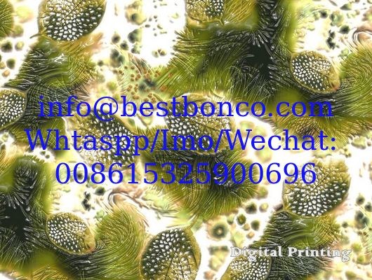 Spun polyester voile 3D Digital Printing super finishing quality Japanese Quality finishing fabrics for fashion